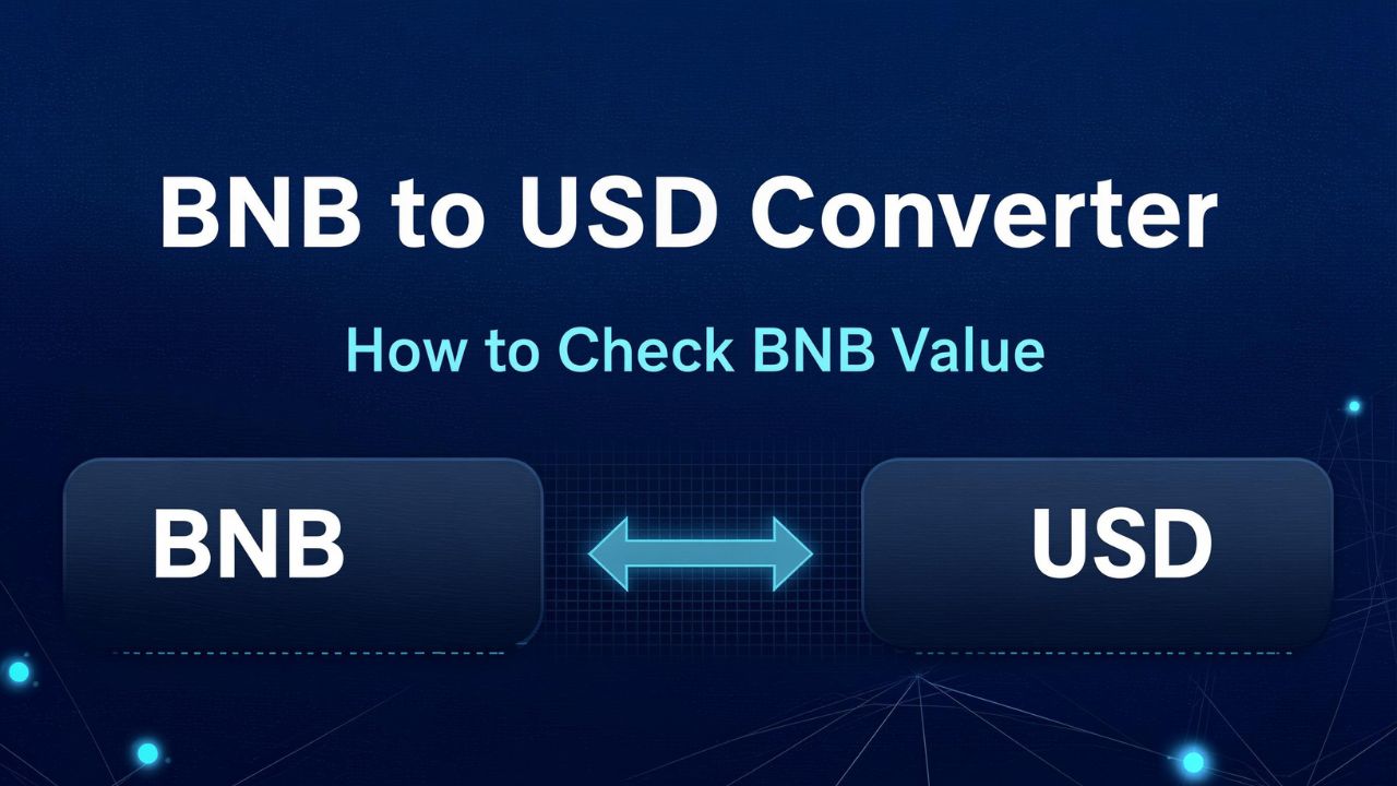 BNB to USD Converter: How to Check BNB Value