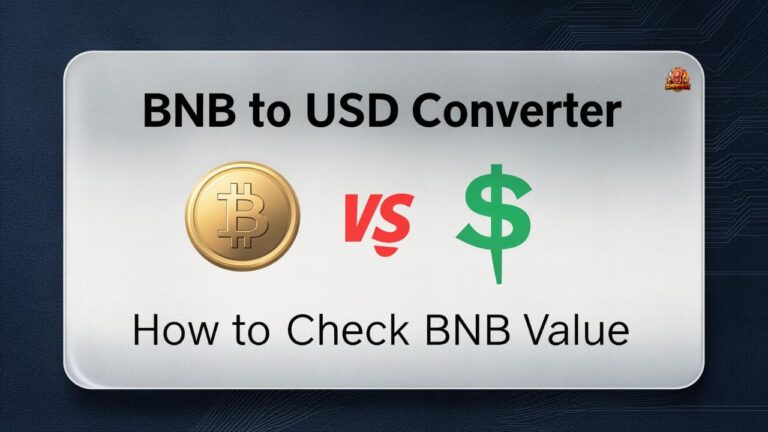 BNB to USD Converter: How to Check BNB Value